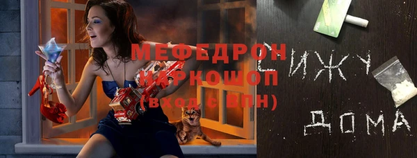 мдпв Бородино