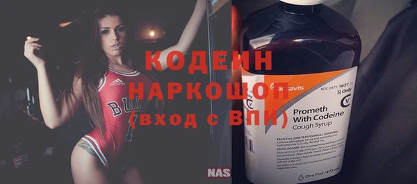 мдпв Бородино