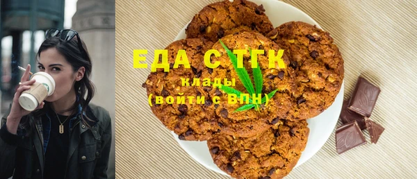 мдпв Бородино