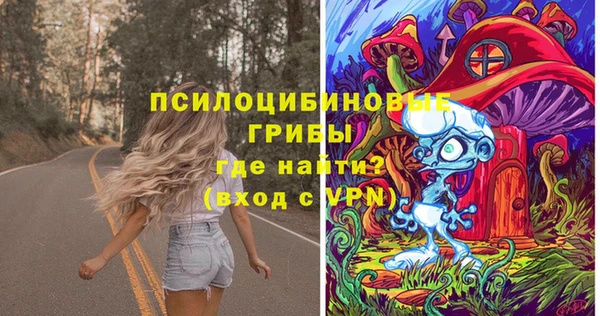 мдпв Бородино