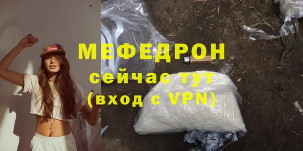 мдпв Бородино