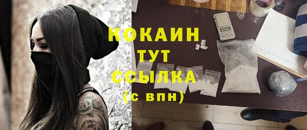 мдпв Бородино
