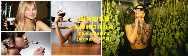 мдпв Бородино