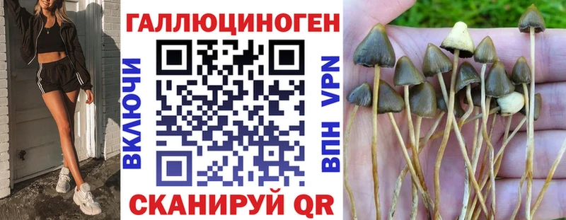 наркота  Дигора  Галлюциногенные грибы мухоморы 